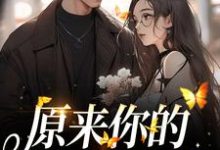 免费在线阅读原来你的心里没有我小说的正规网站有哪些？-山海文学