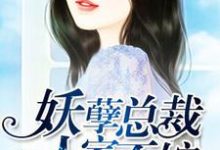 主角许静好顾岁安小说完结版在线阅读，妖孽总裁，人家不嫁免费看-山海文学