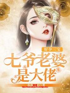 小说《好孕三宝：七爷老婆是大佬》在线章节阅读