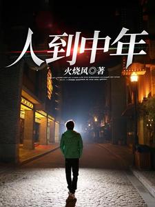 人到中年陈楠周若云，人到中年章节在线阅读