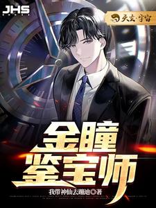 金瞳鉴宝师沈睿杨丽小说在线章节免费阅读