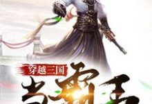 穿越三国当霸王小说最新更新在哪里?免费在线看-山海文学