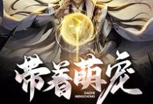 主人公叫黎念宋城朱雀加宁的小说哪里免费看-山海文学