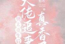 完整版的姨太重生后，大佬追妻真香了小说在哪里可以免费读到？-山海文学