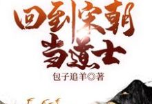 小说《回到宋朝当道士》在线章节阅读-山海文学
