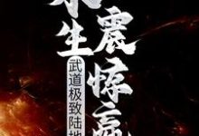武道极致陆地神仙，永生震惊嬴政段小纯黄蓉小说大结局免费试读-山海文学