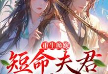 免费阅读沈岁安陆渊为主角的小说，重生换嫁：短命夫君归我喽在线看-山海文学