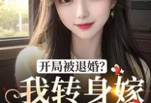 开局被退婚?我转身嫁年下军官小说最新更新在哪里?免费在线看-山海文学