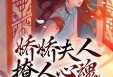 颜心景元钊小说叫什么（娇娇夫人撩人心魂，冷傲少帅拿命宠免费阅读）-山海文学