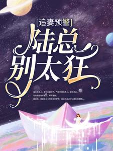 免费在线阅读追妻预警：陆总别太狂小说的正规网站有哪些？
