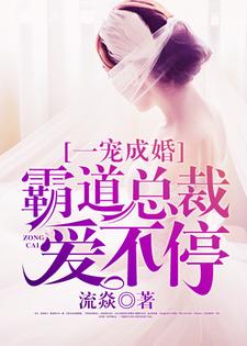 完结版《一宠成婚：霸道总裁爱不停》章节目录在线阅读