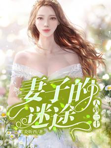 人到三十：妻子的迷途丁亦同何紫云，人到三十：妻子的迷途章节在线阅读