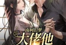 哪里可以免费读到谭彦清蒋棠的完整故事?寻找南柯旧梦:大佬他恋恋不忘-山海文学