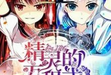 精灵的方程式小说，精灵的方程式在线阅读-山海文学