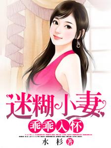 迷糊小妻乖乖入怀小说，迷糊小妻乖乖入怀林小果韩苑杰