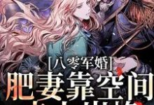 已完结小说《八零军婚：肥妻靠空间走上巅峰》章节在线阅读-山海文学