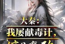 大秦：我屡献毒计，惊呆嬴政嬴政苏诩雍城吕不韦小说完结版章节在线阅读-山海文学
