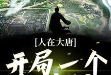 求人在大唐:开局一个任意门小说免费资源-山海文学