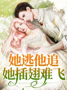 她逃他追，她插翅难飞免费阅读，她逃他追，她插翅难飞章节目录