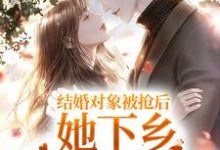 结婚对象被抢后，她下乡闪婚双胎了乔知意裴征，结婚对象被抢后，她下乡闪婚双胎了在线无弹窗阅读-山海文学